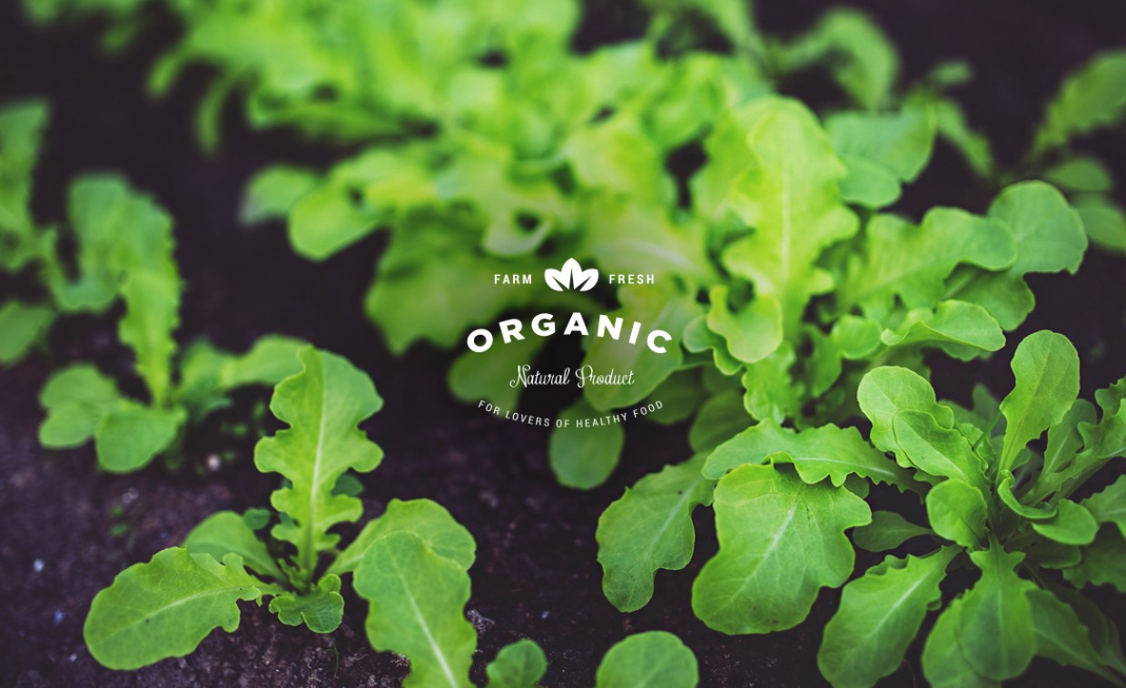 Organic & Natural